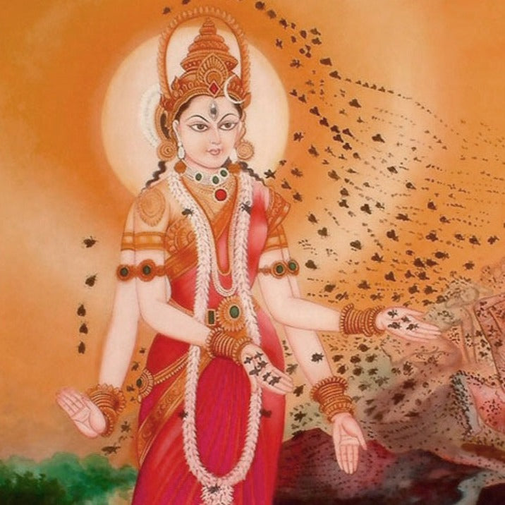 BHRAMARI - Rouge  loose and swatched on the skin.  A peachy-orange shade with warm satin finish