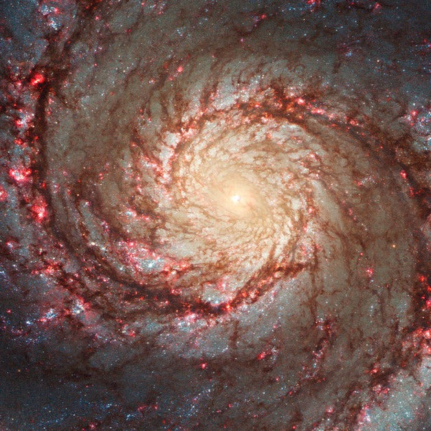 Whirlpool galaxy 
