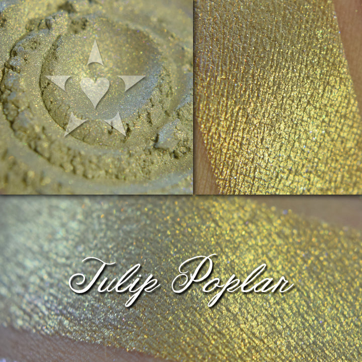 Tulip Poplar eyeshadow loose and swatched on the skin. A pale warm green base with a strong gold shift.