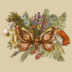 Colorful ilustration of butterfly and forest plants. This appears on full size product lid.