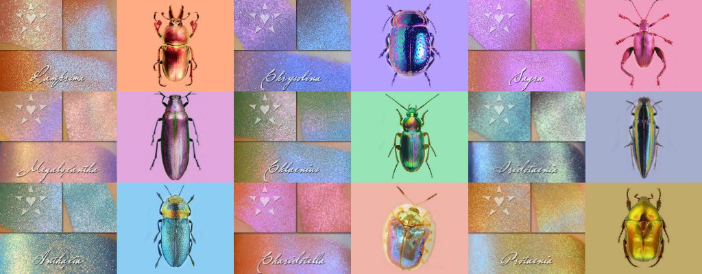 Now Available! Color traveling multichrome shades inspired by colorful insects... INSECTARIUM