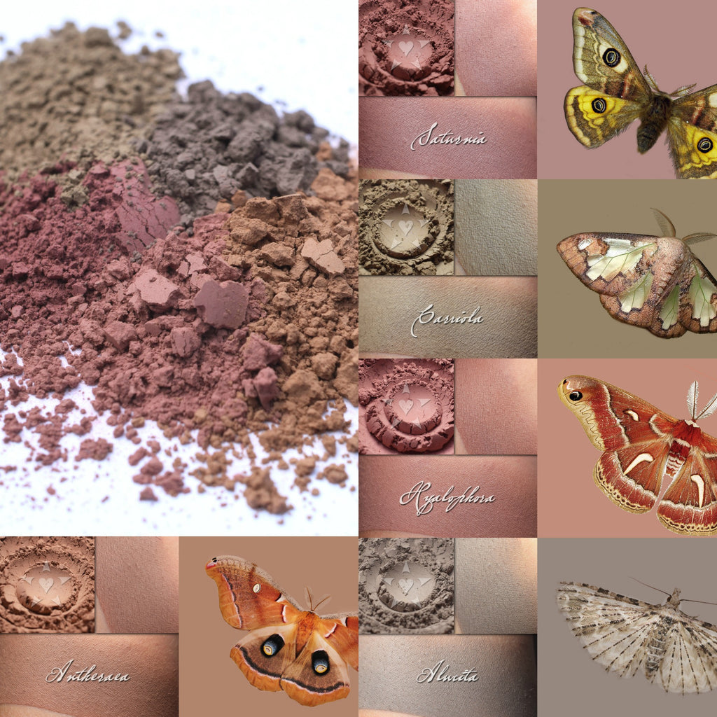 Beautiful new multipurpose contour powders, inspired by Moths