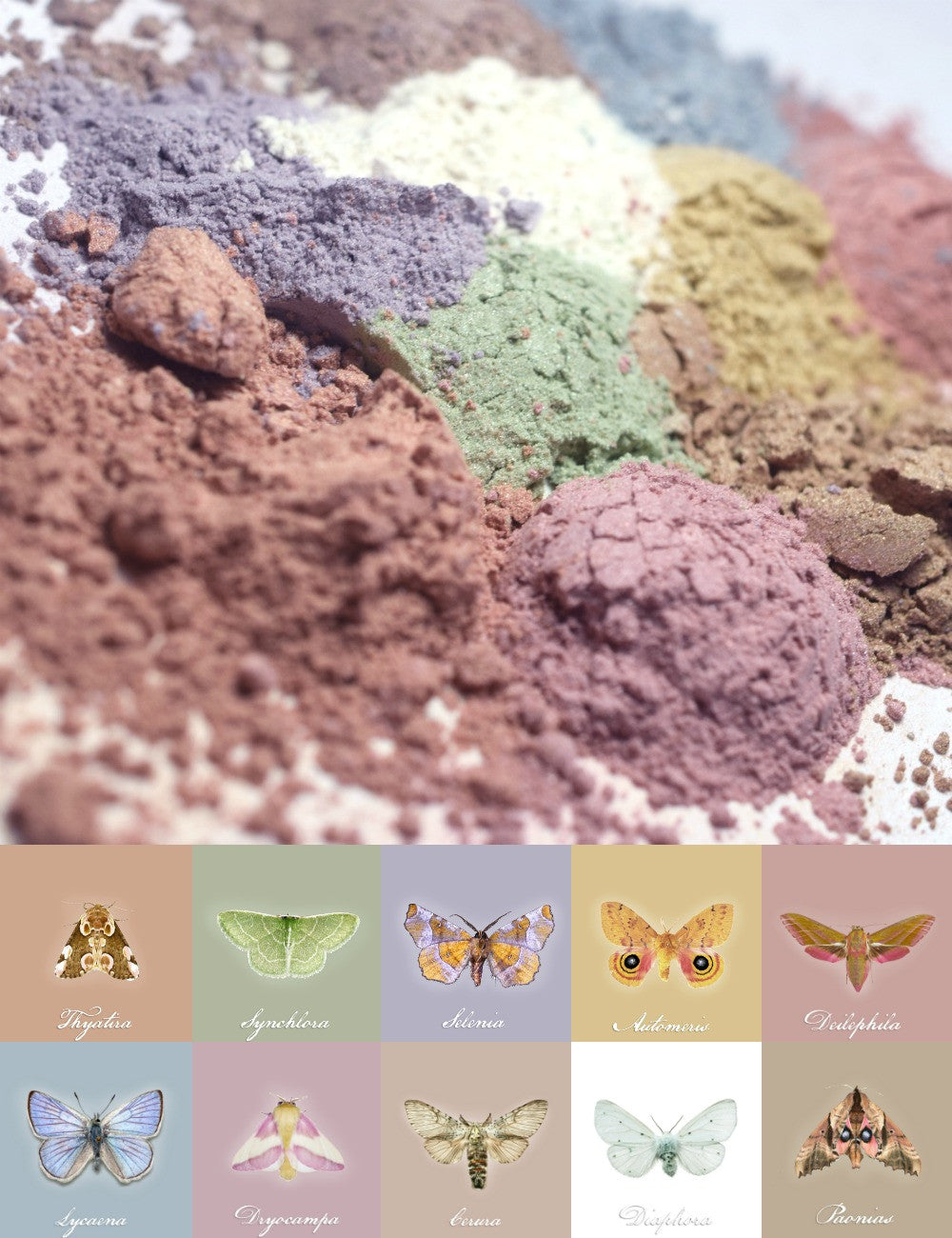Coming Soon! The Insectarium Multipurpose Lustre Powders inspired by beautiful moths