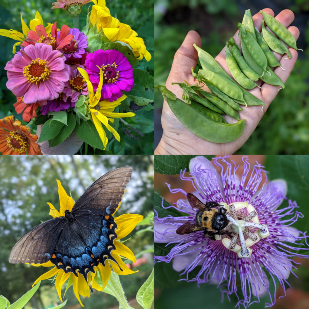 "IN THE GARDEN"
