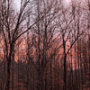 MAGIC HOUR - MULTIPURPOSE BLUSH (Cheek/Eye Safe)