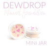 DEWDROP Medium Coverage Mineral Foundation - MINI SIZE JAR