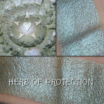 HERB OF PROTECTION - Eyeshadow