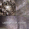 LABYRINTH OF PSYCHE - premium eyeshadow