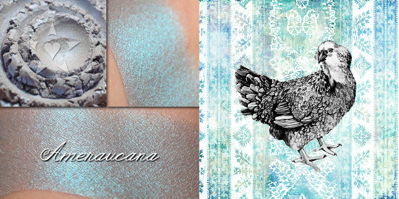 AMERAUCANA eyeshadow swatch collage shown next to matching image of the Ameraucana chicken in black and white on a country print blue and white background.