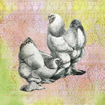 Vintage black and white drawing on Brahma chickens on a colorful pink and green patterned background.