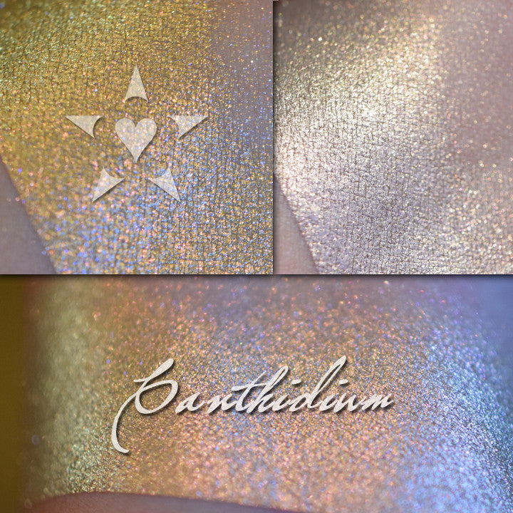 CANTHIDIUM - Vintage Aromaleigh Eyeshadow swatched on the skin in three different views. A metallic bronze base with gold to copper to pinkish red color travel. 