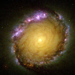 CIRCUMNUCLEAR TORUS - yellow and white spiral galaxy
