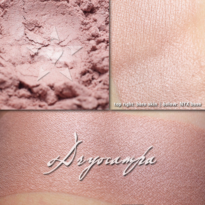 DRYOCAMPA - Multipurpose highlighter/eyeshadow  loose and swatched on both bare skin and over primer. . A muted cool petal pink