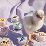 A fluffy baby chick standing among full size eyeshadow jars from this collection, showing different black and white images of chickens on colorful backgrounds.