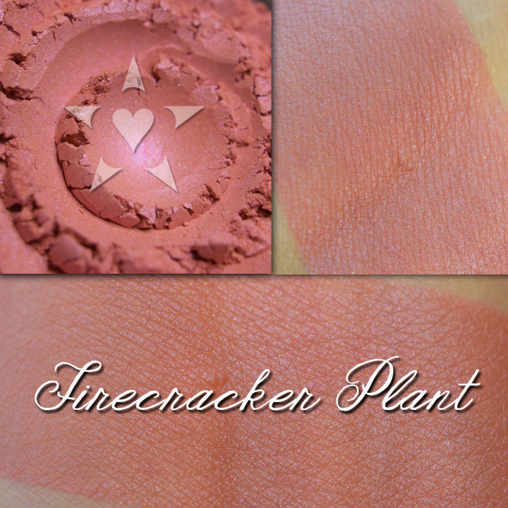 Firecracracker blush shown loose and swatched on the skin. Soft coral pink with subtle iridescence.