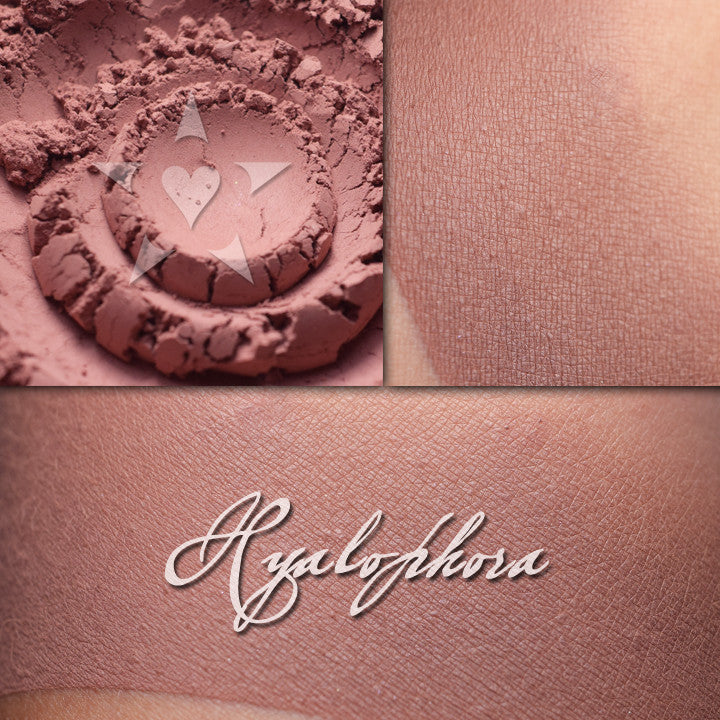 HYALOPHORA - Multipurpose Contour/Eyeshadow loose and swatched on the skin. Warm brown.