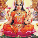 The Goddess Lakshmi sitting lotus style in bright orange and  pink traditional dress, holdking two pink lotus flowers.