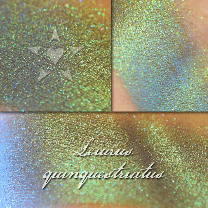 LEIURUS - chromatic Eyeshadow