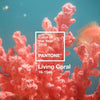 Pantone color of the year 2019, living coral. Beautiful vivid coral underwater in a reef..