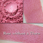 ROSE WITHOUT A THORN - blush