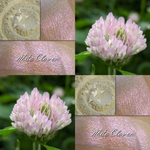 Collage of White Clover eyeshadow and the flower blossom.