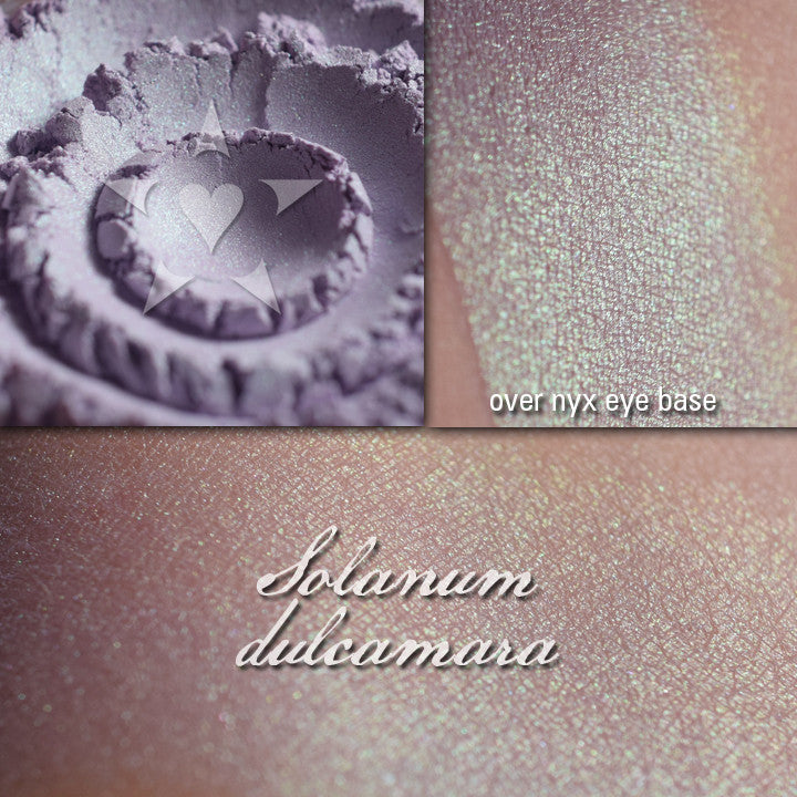 SOLANUM DULCAMARA - highlighter