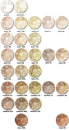 PASHMINA Heavy Coverage Mineral Foundation/Concealer - SAMPLE BAGGIE