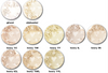 PASHMINA Heavy Coverage Mineral Foundation/Concealer - SAMPLE BAGGIE